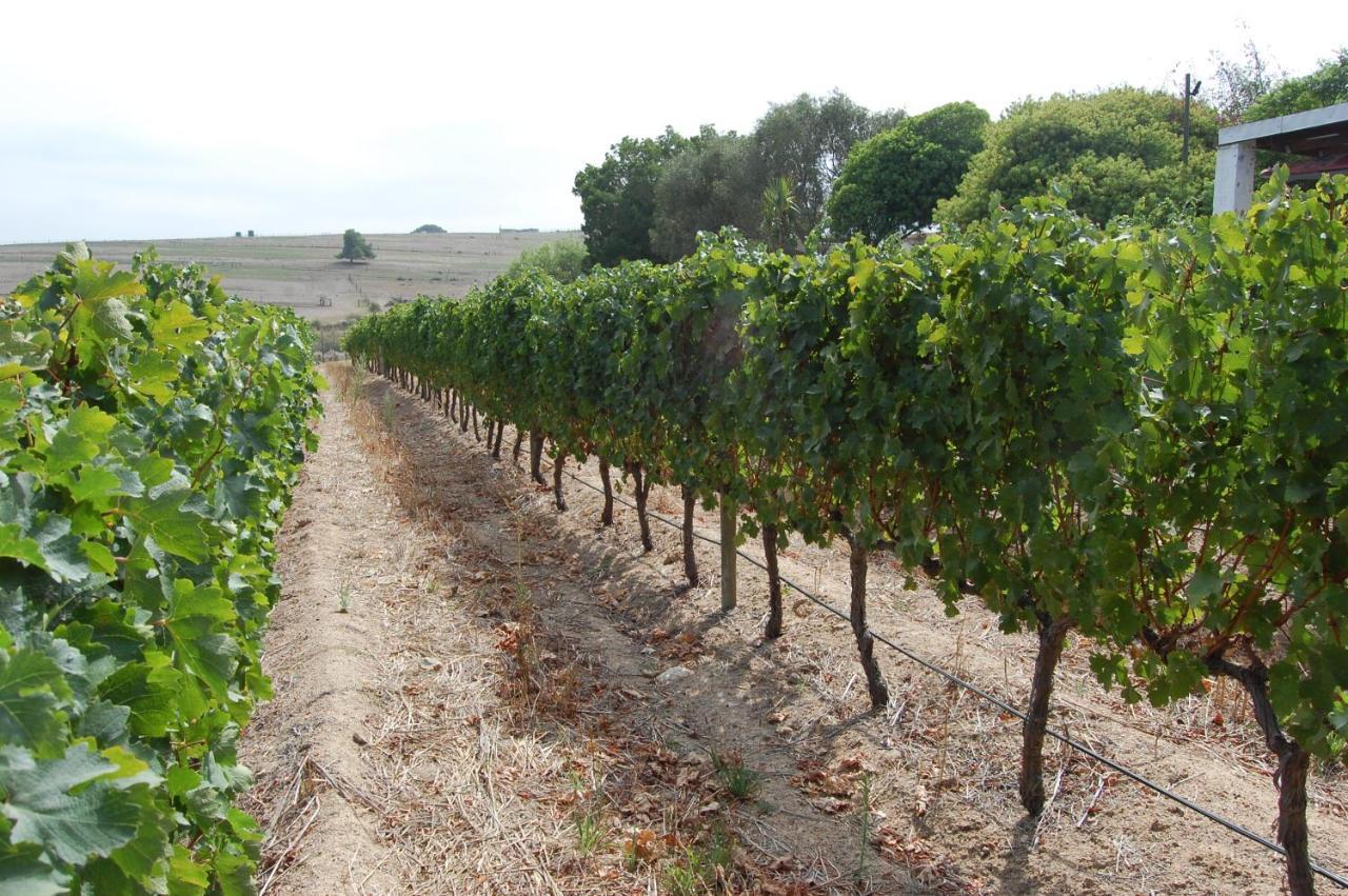 Deux Freres Wine Estate & Luxury Villas Stellenbosch Eksteriør billede