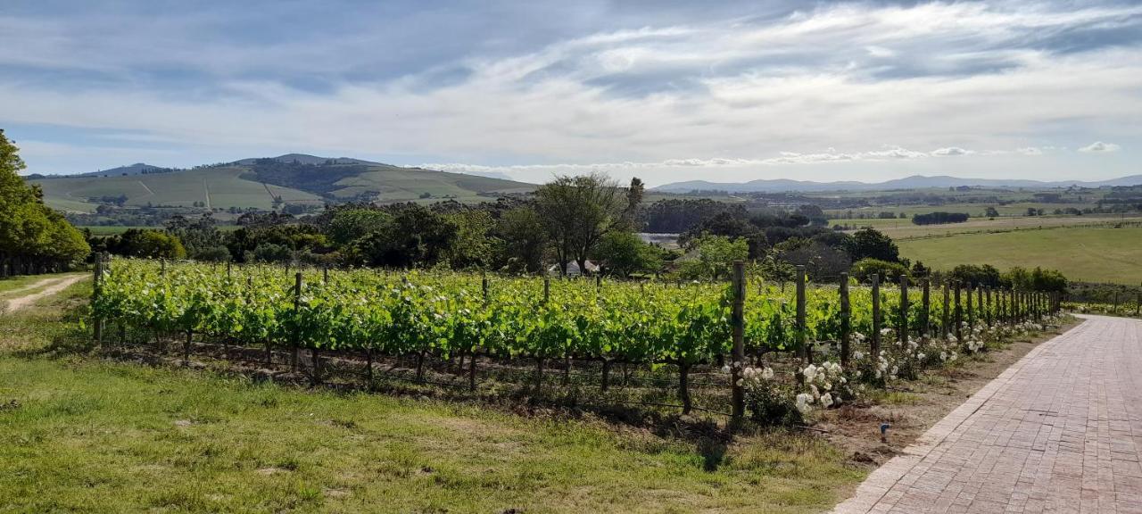 Deux Freres Wine Estate & Luxury Villas Stellenbosch Eksteriør billede